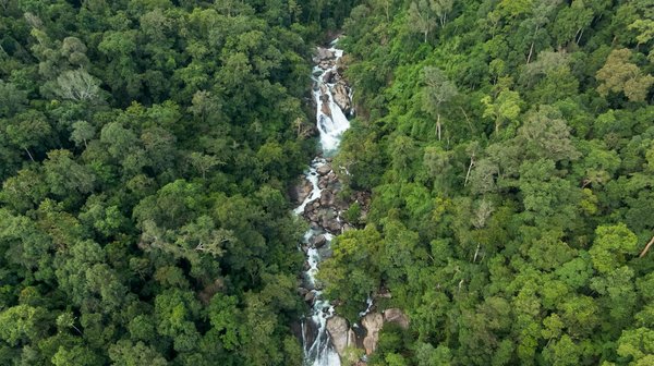 Comment les réseaux sociaux influencent nos choix alimentaires ?
